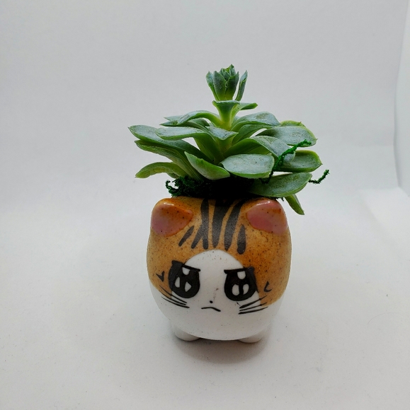 Grumpy Succulent Planter